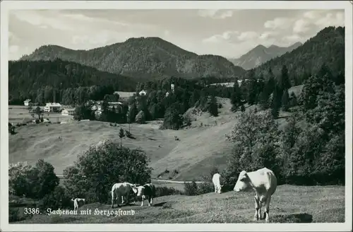 Ansichtskarte Jachenau Weide mit Kühen, Blick auf den Ort 1938