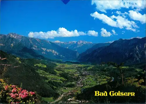 Bad Goisern am Hallstättersee Panorama-Ansicht mit Bergmassiv 1998