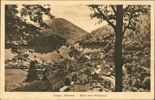 Ansichtskarte Zorge Blick vom Hütteberg auf den Ort 1926