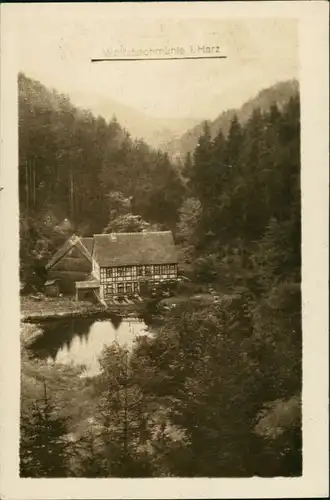 Ansichtskarte Hohegeiß-Braunlage Wolfbachmühle 1922