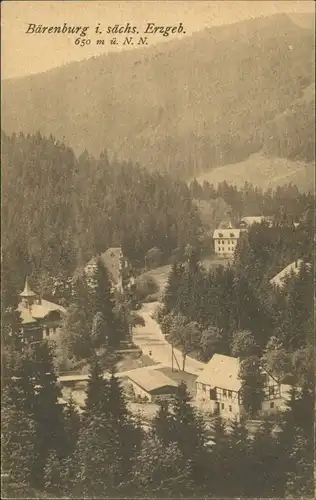 Ansichtskarte Bärenburg-Altenberg (Erzgebirge) Blick auf den Ort 1918