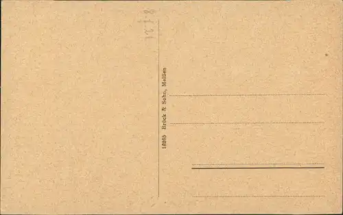 Ansichtskarte Bärenburg-Altenberg (Erzgebirge) Blick auf den Ort 1918