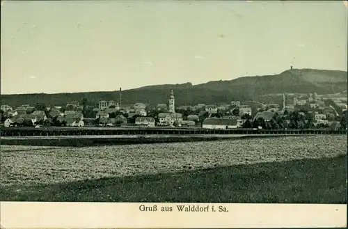 Ansichtskarte Walddorf-Kottmar Totalansicht 1908 