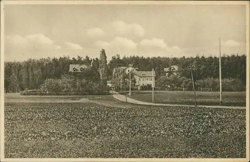 Postcard Seifersdorf Žibřidice Blick zur Straße und Villa 1929
