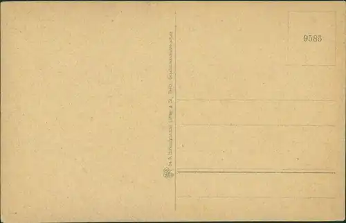 Ansichtskarte Waldstein Aussichtspavillon-Die Schüssel 1918