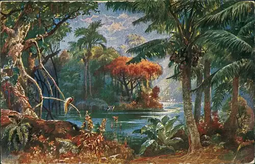 Postcard Kamerun Landschaft in Kamerun 1915