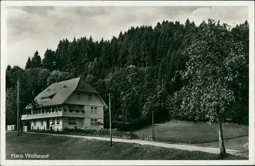 Ansichtskarte Hinterzarten Haus Wolfsnest 1939