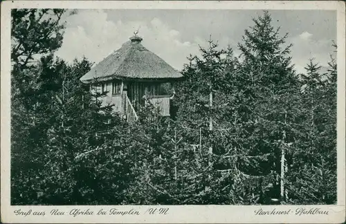 Ansichtskarte Ahrensdorf-Templin Neu Afrika Storchnest Pfahlbau 1932 