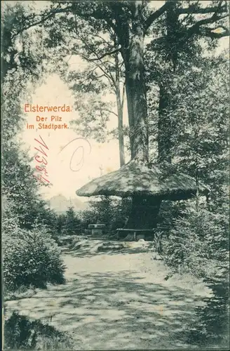 Ansichtskarte Elsterwerda Wikow Stadtpark - der Pilz 1913 