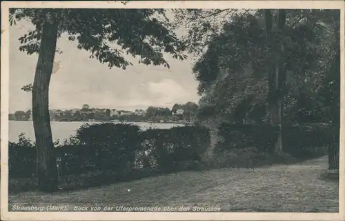 Ansichtskarte Strausberg Panorama-Ansicht von der Uferpromenade aus 1942