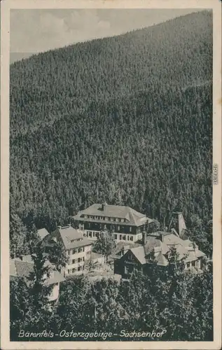 Bärenfels (Erzgebirge)-Altenberg (Erzgebirge) Kur Ferienheime - Sachsenhof 1948
