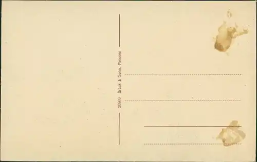 Ansichtskarte Bad Elster Partie am Haus Erika 1913