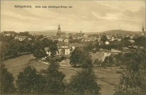 Ansichtskarte Königsbrück Kinspork Blick vom Scheibigen Berge aus 1913 