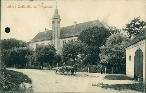 Ansichtskarte Zottewitz-Priestewitz Schloß Zottewitz 1908 