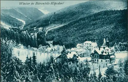 Bärenfels (Erzgebirge)-Altenberg   Blick auf die Stadt im Winter 1914