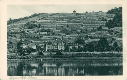 Ansichtskarte Niederlößnitz-Radebeul Weingut Rote Presse 1928 