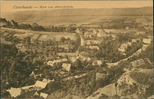 Ansichtskarte Cossebaude-Dresden Blick von der Albrechtshöhe 1922 