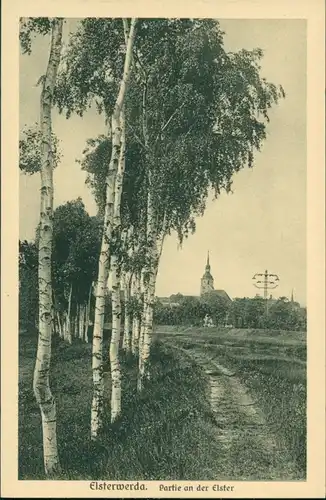 Ansichtskarte Elsterwerda Wikow Birkenweg, Elster - Kirche 1919 
