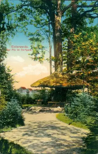 Ansichtskarte Elsterwerda Wikow Stadt, Stadtpark - Pilz 1913 