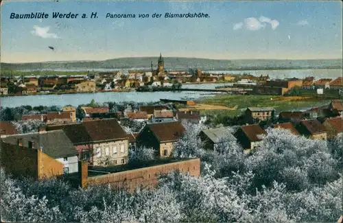 Ansichtskarte Werder (Havel) Panorama von der Bismarckshöhe, Baumblüte 1917