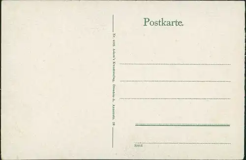Ansichtskarte Bad Gottleuba-Berggießhübel Stadtpartie 1913 