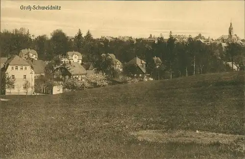 Ansichtskarte Großschweidnitz (OL) Swóńca Stadtpartie 1922 
