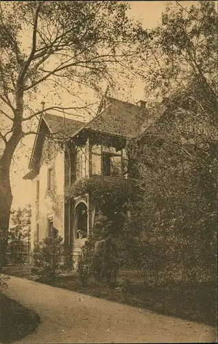 Ansichtskarte Coswig (Sachsen) Lindenhof - Albertvilla 1922 