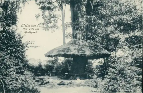 Ansichtskarte Elsterwerda Wikow Der Pilz im Stadtpark 1908 