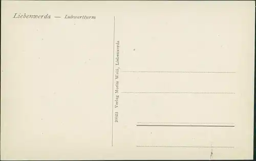 Ansichtskarte Bad Liebenwerda Lubwartturm - Straße 1913 