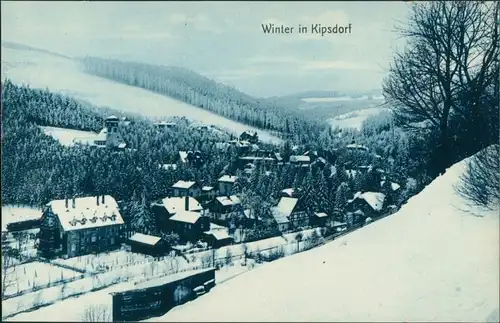 Ansichtskarte Kipsdorf-Altenberg (Erzgebirge) Winterpartie 1913 