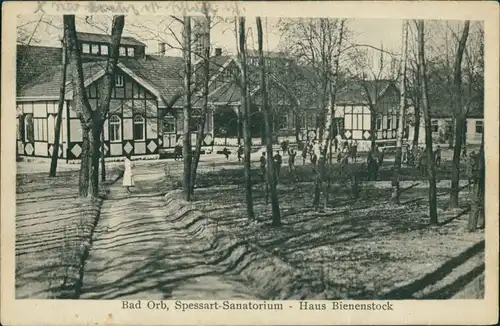 Ansichtskarte Bad Orb Spessart-Sanatorium Haus Bienenstock 1927 