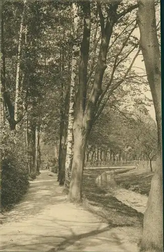 Ansichtskarte Radeburg Promenade 1913 