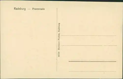 Ansichtskarte Radeburg Promenade 1913 