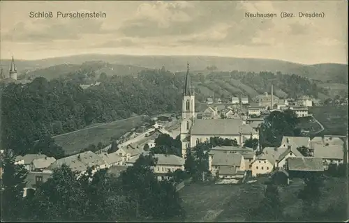 Ansichtskarte Neuhausen (Erzgebirge) Blick auf die Stadt - Schloß 1912 