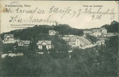 Ansichtskarte Blankenburg (Harz) Villen am Großvater 1915 