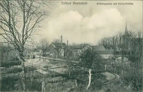 Ansichtskarte Bad Brambach Mühlengarten mit Bäckerbrücke 1906 