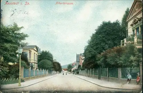 Ansichtskarte Neustadt (Sachsen) Albertstraße 1911 