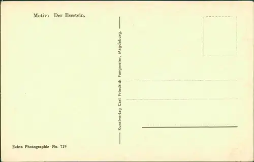 Ansichtskarte Ilsenburg (Harz) Waldpartie 1932 