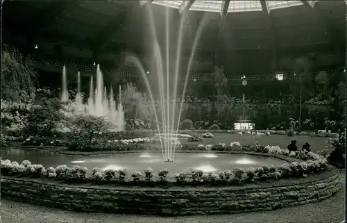 Ansichtskarte Dortmund Westfalenhalle - Blumenparadies 1966 