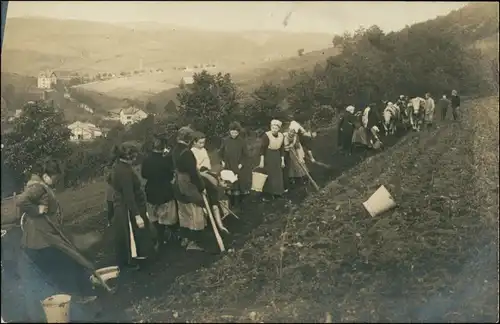 Foto  Bäuerinnen am Hang bei der Feldarbeit 1911 Privatfoto 