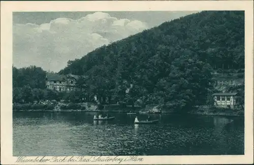 Ansichtskarte Bad Lauterberg im Harz Wiesenbeker Teich mit Ruderbooten 1922