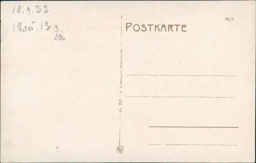 Ansichtskarte Bad Sachsa Blick vom Pfaffenebergm Schmelzteich 1922