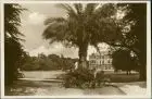 Seevorstadt-Ost/Großer Garten-Dresden Großer Garten, Palme und Palais 1928