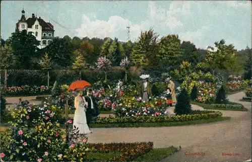 Ansichtskarte Chemnitz Sonntagsspaziergang im Rosarium 1908