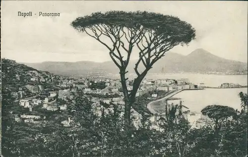 Cartoline Neapel Napoli Panorama vom Berg mit Baum 1914