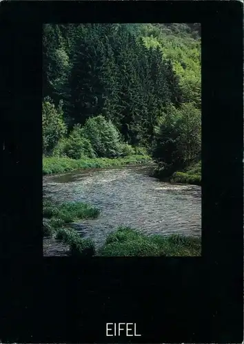 Ansichtskarte Rheinland-Pfalz Flusslauf in der Eifel 1998
