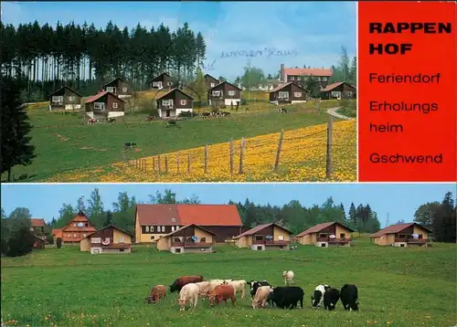 Ansichtskarte Gschwend Rappenhof, Erholungsheim, Feriendorf 1990