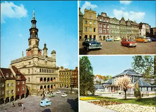 Posen Poznań Renesansowy ratusz, Starego Rynku, Palmiarnia w parku 1973
