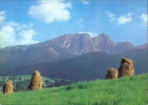 Postcard Zakopane Blick ins Umalnd 1982