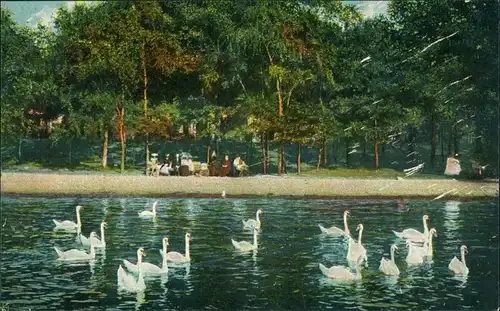 Ansichtskarte Hamburg Partie an der Alster 1906